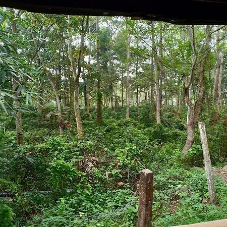 Siddhartha Wildlife Retreat Hotell Meghauli Eksteriør bilde