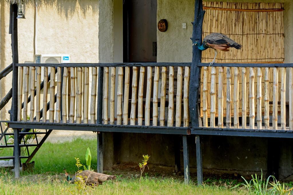 Siddhartha Wildlife Retreat Hotell Meghauli Eksteriør bilde