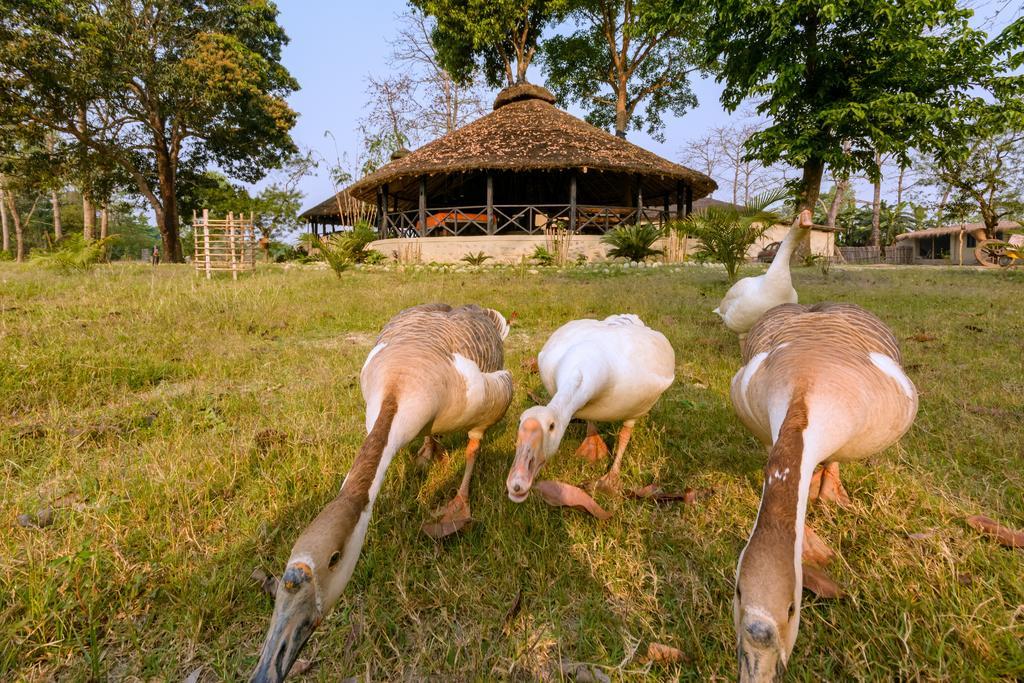 Siddhartha Wildlife Retreat Hotell Meghauli Eksteriør bilde