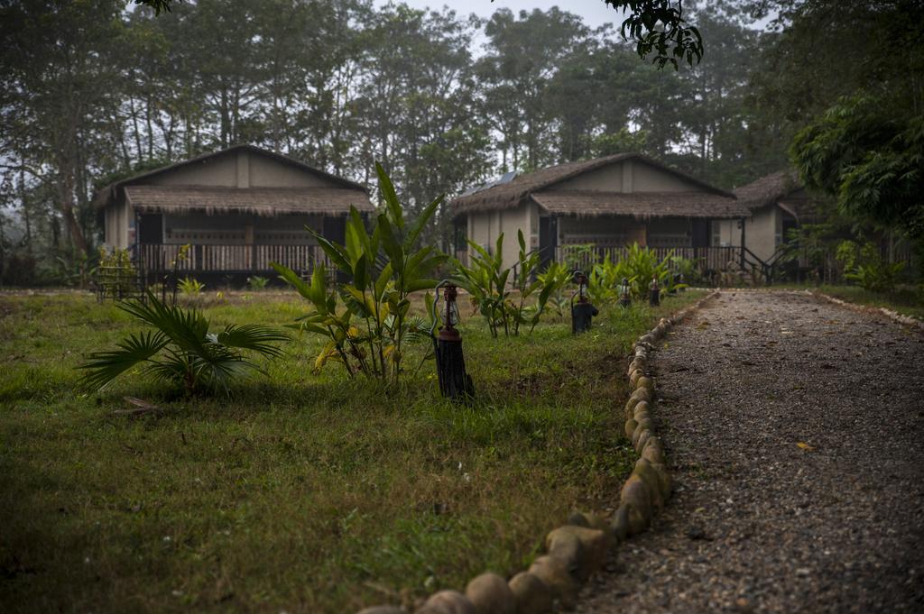 Siddhartha Wildlife Retreat Hotell Meghauli Eksteriør bilde