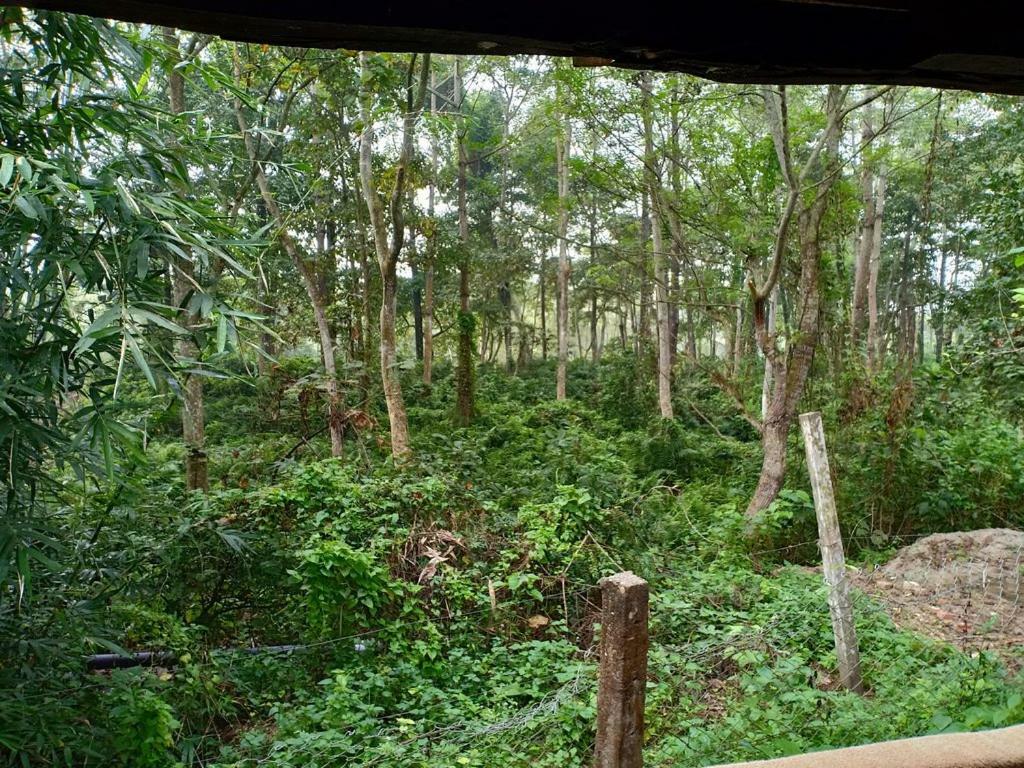 Siddhartha Wildlife Retreat Hotell Meghauli Eksteriør bilde